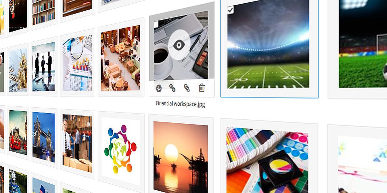 Product Spotlight: What’s New & Upcoming