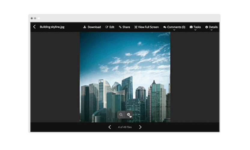 Zoom Capabilities for Preview